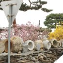 배나무목장 이미지