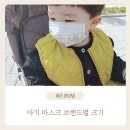 씨에스덴탈 | 마스크 - 두돌 아기 :: 별과모래, 아이천국, 크리넥스, 애니가드, 유한킴벌리, 웰킵스, 위케어, 씨에스
