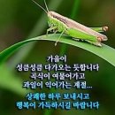 🍃백로(白露)날 문안인사드립니다!🍃 이미지