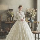 퍼피벨르 | [Wedding] 아이웨딩 통해서 드레스 투어 - 준비물, 업체 고르기(1.클라라웨딩)