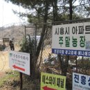 안가래울농장 티스토리