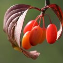 행복가득한의원 이미지