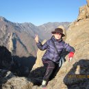 배꼽친구 이미지