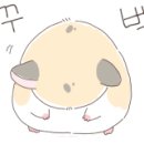 닥치고곱창 이미지