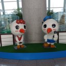 옹진군청 효심관 이미지