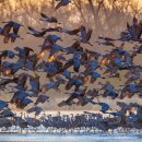 CORE PC CAFE 이미지