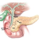 구로의원 이미지