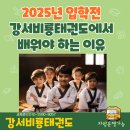 강서비룡태권도 이미지