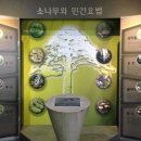 솔향공원 소나무전시관 이미지