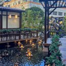 도시농가코페 이미지