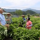 아리랑식품영농조합법인 이미지