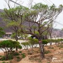 J5019 네이버블로그
