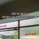 웨그(Wag) 네이버블로그
