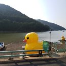 통영여행슬로비게스트하우스&카페