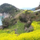 하화도 꽃섬길 이미지