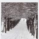 테크노밸리길 이미지