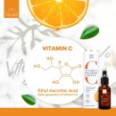 10통 | 비타라 비타민C 세럼 사용 후기 (10통 넘게 사용 중)