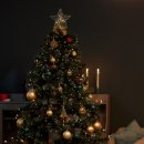 크리스마스 트리 이미지