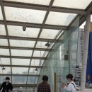 정길목장 이미지