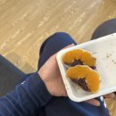 여운목장 | 🏝️제주도여행2일차/대한목장/골막식당/벵디/보메와산/오우너스원/탱글2호점/카페진정성