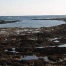 강정동-29 이미지