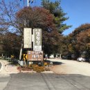 구룡레저타운야영장 이미지