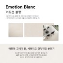 이모션광택 이미지