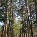 국망봉자연휴양림 | [Camping] 서울 근교 캠핑장 포천 ‘국망봉 자연 휴양림’ / 어반 사이드 이지 벙커 내 돈 내산 후기