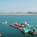 아버지의바다 | 사노라면 아버지의 바다는 연중무휴 전기철 허금자 당진 낚시터 위치 및 정보