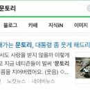 부평하나용인대태권도장 이미지