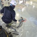 상승도장 이미지