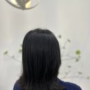 나비드헤어 이미지