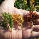 응달농장 이미지