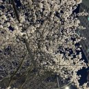 박창호안과의원 이미지