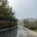 세종동_전월산 무궁화 테마공원 이미지