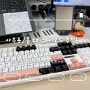 올리비아라이프 | [내 돈 내산] 사무용/홈오피스 키보드 추천! AULA 독거미 F108 저소음 솜사탕축 찐 사용기