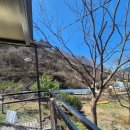 스테이옥정 | 정읍펜션 정읍 스테이옥정에서의 자연 속 힐링 여행