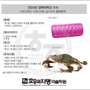 디자인호우 이미지