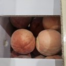 천일도 복숭아 아로니아 열매 이미지