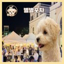 삼천공방 | 아쉬웠던 아산 지중해마을 별별포차 야시장, 애견동반 가능할까?