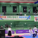 경희대석사 백두산태권도 이미지