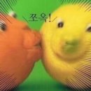 심심이(주) 이미지