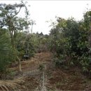 상효동-3 이미지