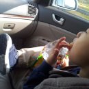 현준목장 이미지