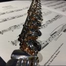 플룻 (연주자) 이미지