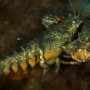 불로초등학교 이미지