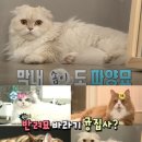 윤균상 카카오 검색결과