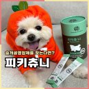 펫이좋아 | 강아지슬개골영양제 피키펫 피키츄니 노견 급여 후기