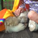 한절농장 네이버블로그