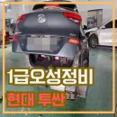 스피드메이트연산정비공장점 | 양정 차수리 후기 연산 자동차 문짝 교체 도어 교환 감전동 추천 범퍼 도장 차량 휀다 도색 비용 투싼